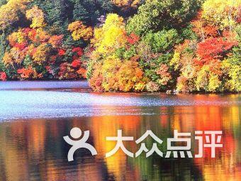 小猫钓鱼正版下载中文版
