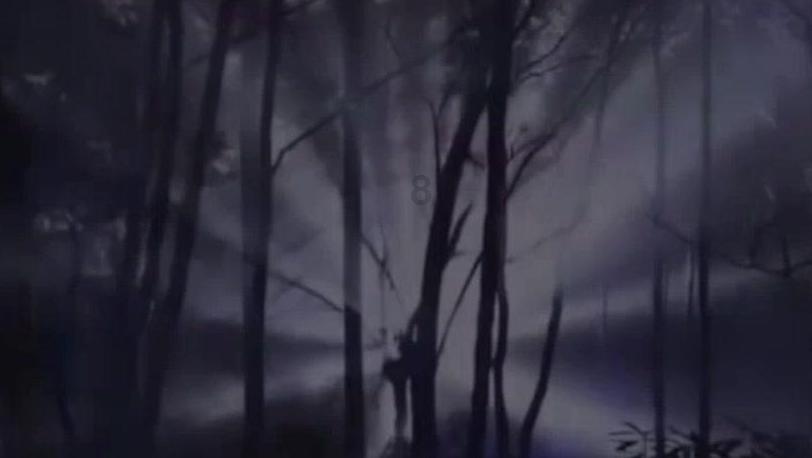 观察者