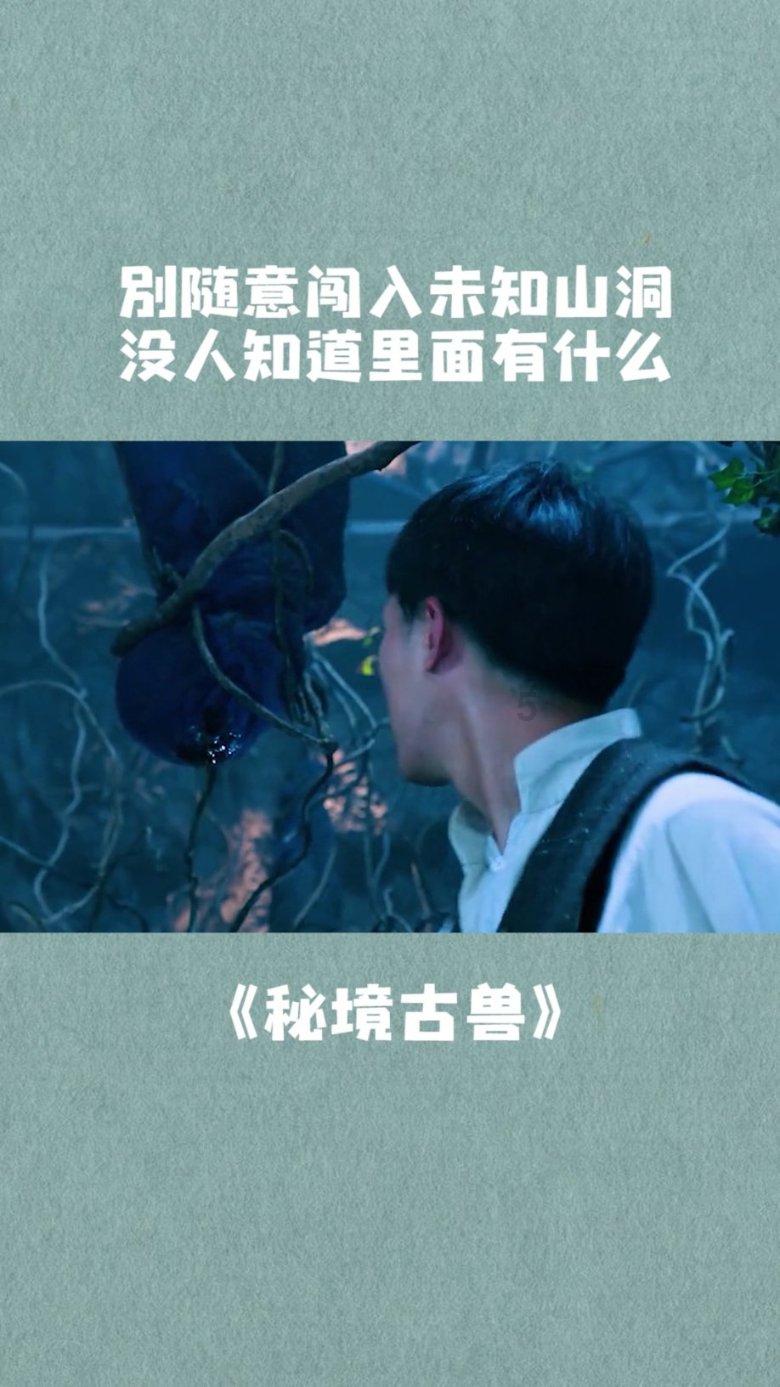 证监会回应近期股市波动：投资者买股票是要回报的，没有投资价值的公司“应退尽退”
