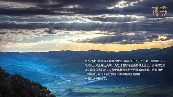月光影视