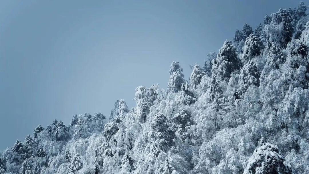 无线电子产品出口到加拿大ISED认证费用及周期