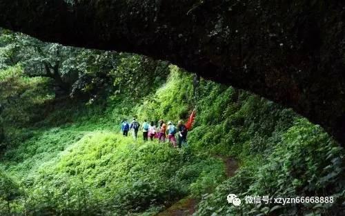 骗局！又一「无用」检测项目被曝光！