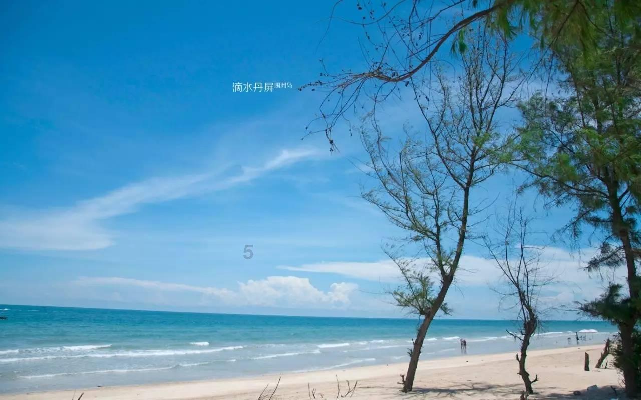 萌宠好又多