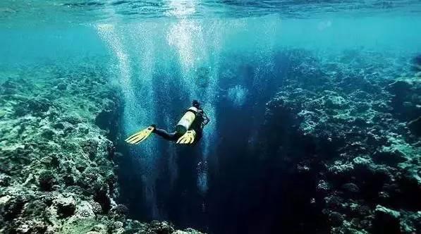 虫虫助手下载