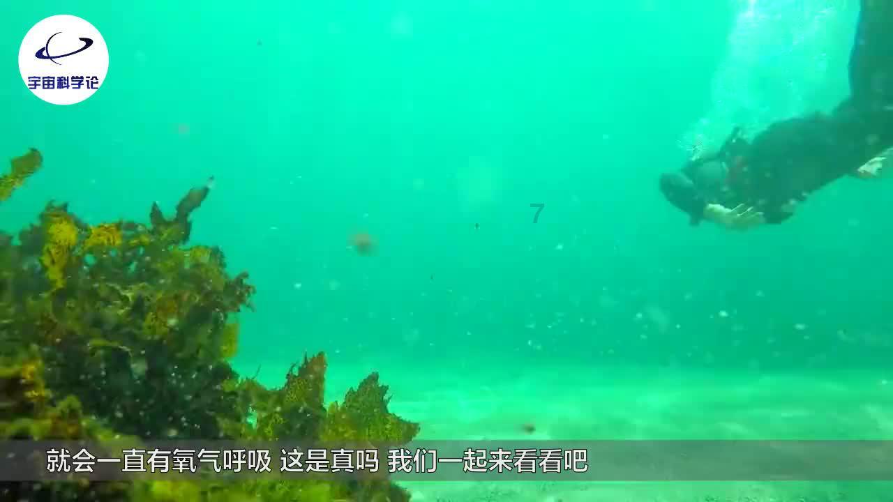 月光影视