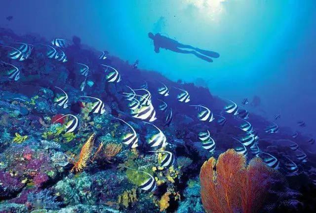 海南：旅游市场火爆，春节订单量同比增长392%