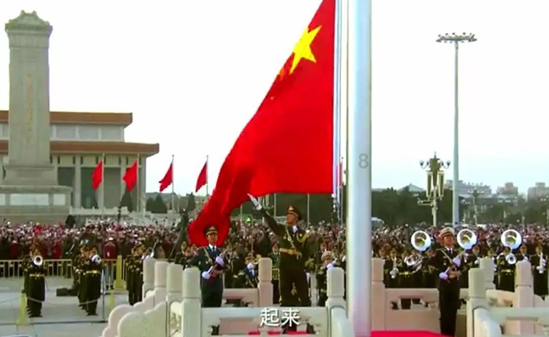 动物帮帮忙保卫家园