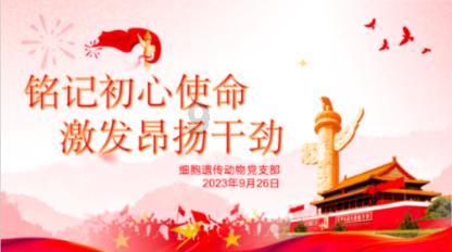 时尚太阳眼镜