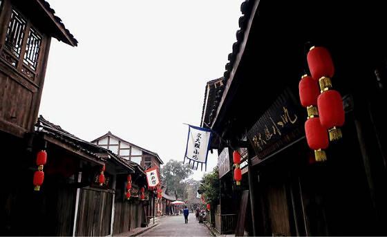 一问到底 | 昆明动物园“猴猫共处”事件6大疑问：猴子曾杀猫？猫数量大减？