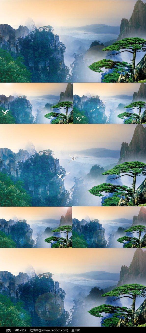 拯救机智男孩